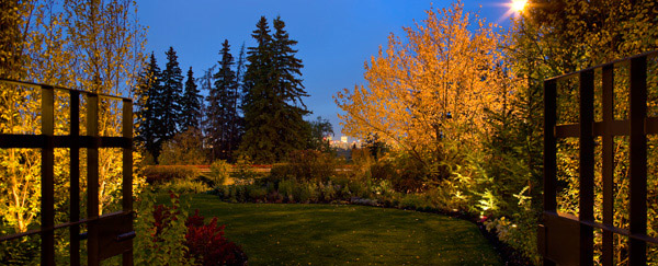 An Edmonton City Garden
